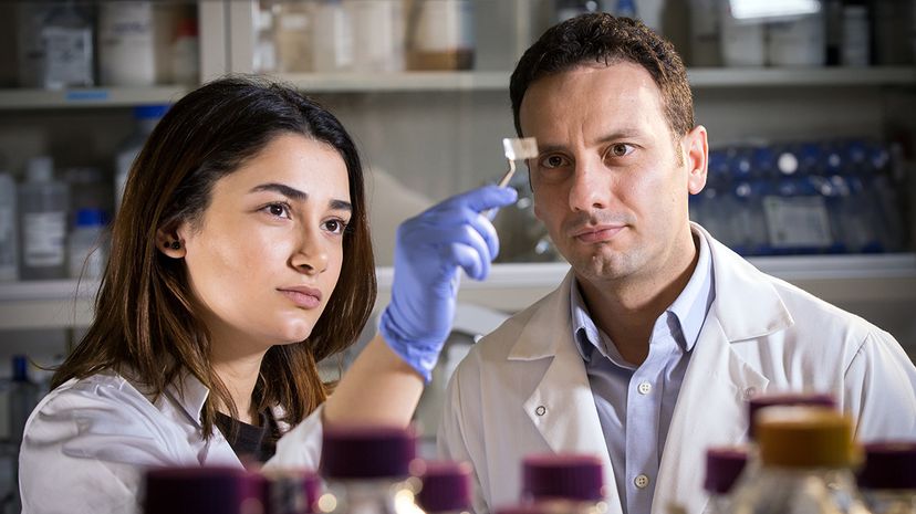 Transparent Patch Detects Foodborne Pathogens, Enhancing Packaging Safety