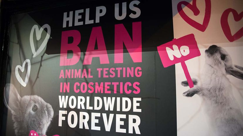 Are New Technologies Poised to Render Animal Testing Obsolete?