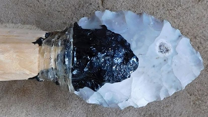 Scientists Reconstruct Ancient Glue Neanderthals Used to Bind Spears