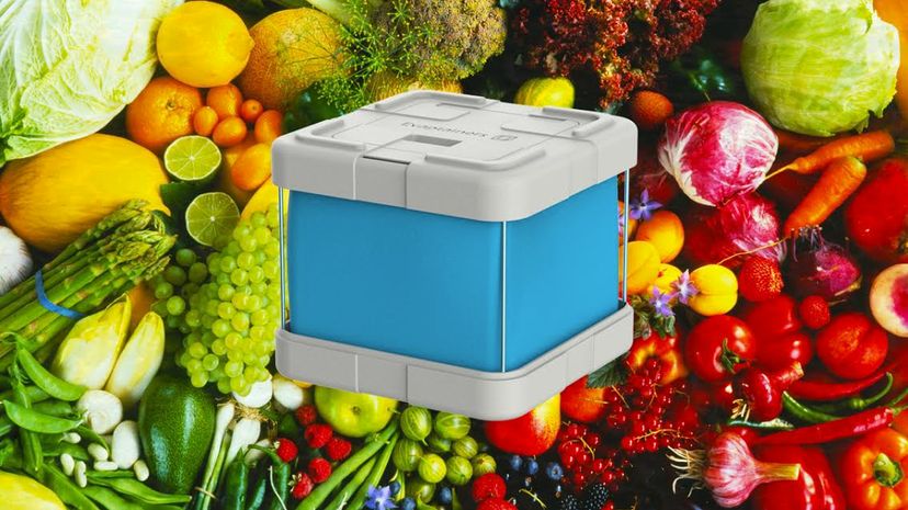 Portable, Electricity-Free Fridge Promises Fresh Food for Millions Without Power