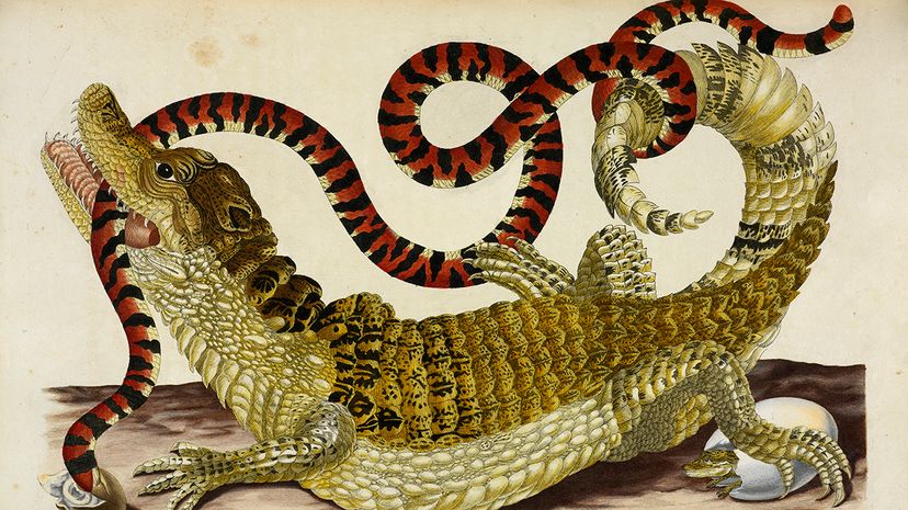 Top Stories You Missed This Week – Curated Highlights