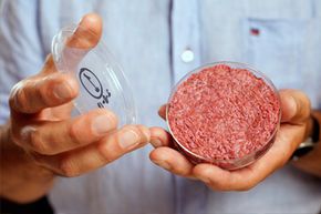 Stem Cell‑Based Meat Production: Benefits, Challenges, and the Future