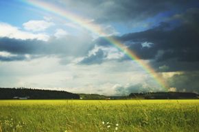 Top 10 Science Questions Everyone Should Master