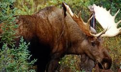 Alaska s Top 5 Innovations Alaskans Are Demanding