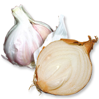 The Science of Phytochemicals: How They Work