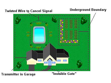 How Underground Pet Fences Protect Your Yard and Neighboring Properties