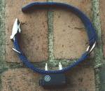 How Underground Pet Fences Protect Your Yard and Neighboring Properties