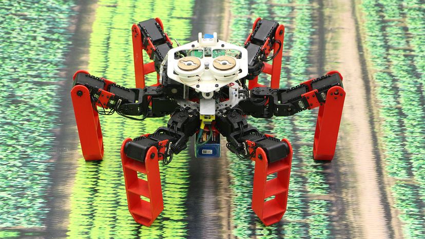 AntBot Employs Celestial Navigation to Replace GPS