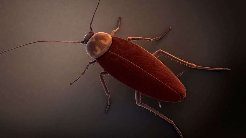 Harnessing Your Thoughts: How Brain‑Controlled Nanobots Are Becoming Reality