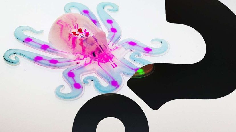Octobot: An Autonomous, Soft-Body Robot That Looks Like an Octopus