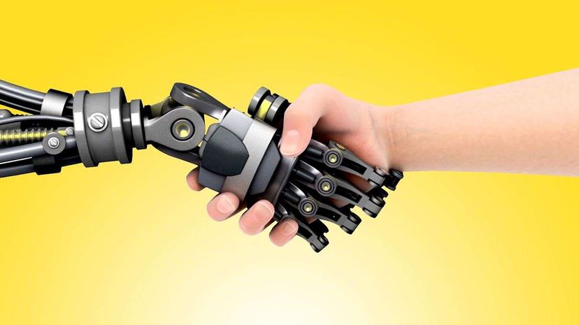 Predicting Job Displacement: When Automation Meets the Workforce