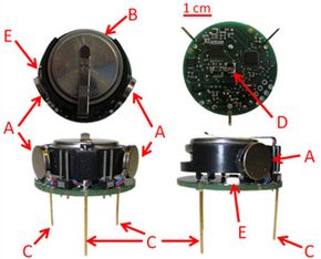 Inside the Kilobot: How Tiny Robots Operate