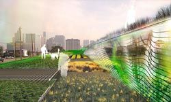 Discover 5 Key Elements of Sustainable Green Architecture