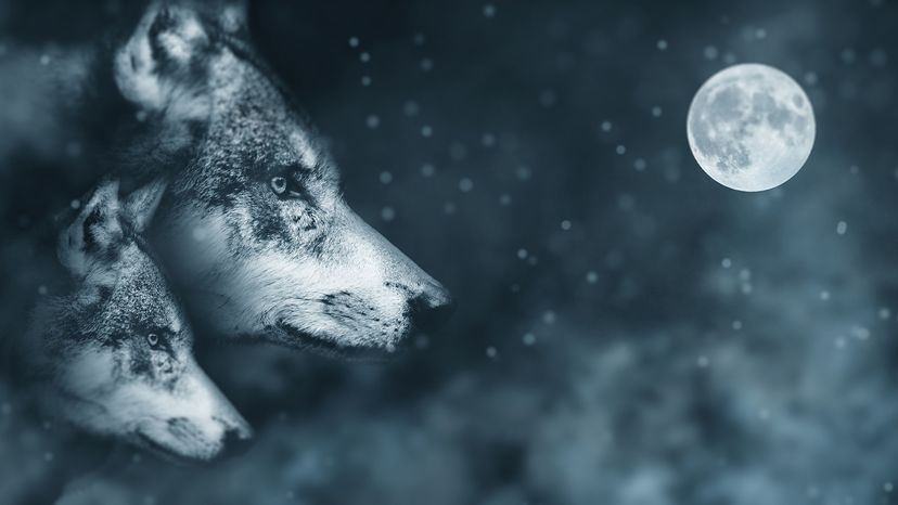 Skinwalkers: Beyond Werewolves – The Navajo Legend Unveiled