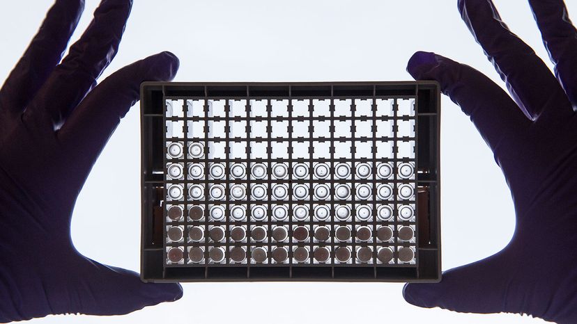 Uncovering Hidden Potential: New Advances in Cancer Cure Research