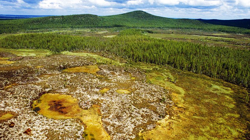 Unveiling the 1908 Tunguska Explosion: Theories Behind Siberia s Massive Blast