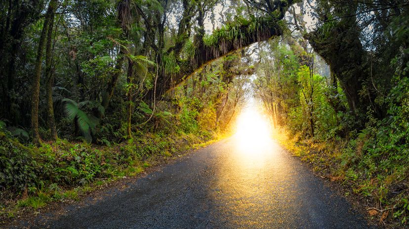 Ghost Lights: Investigating Whether They Are Spirits, Aliens, or Natural Phenomena