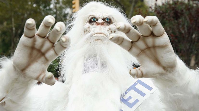 Yeti Myth Debunked: Genetic Tests Reveal It s Just Bears and a Dog