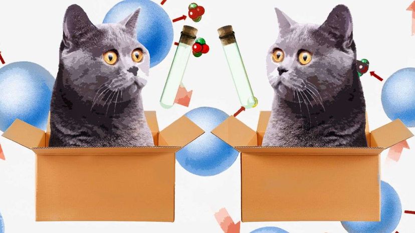 Yale Researchers Confirm Quantum Superposition with Schrödinger s Cat Experiment