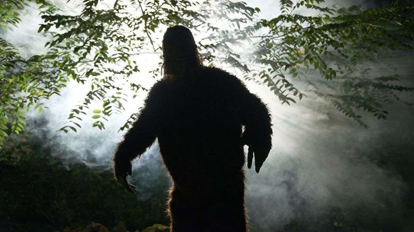 How Private Citizens Finance the Bigfoot Hunt