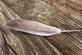 Can the  Light as a Feather, Stiff as a Board  Phenomenon Really Work?