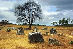 Discover the Mysteries of the Plain of Jars: History, Theories, and Cultural Significance