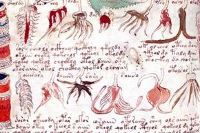 Decoding the Voynich Manuscript: What Makes It So Enigmatic