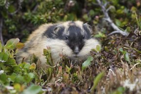 10 Common Scientific Misconceptions Debunked