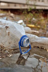 The Real Timeline for Plastic Biodegradation: What You Need to Know