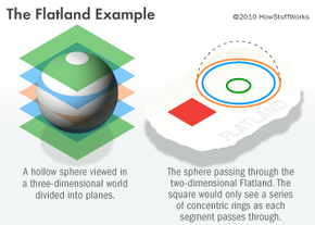 Can Our Brains Detect the Fourth Dimension?