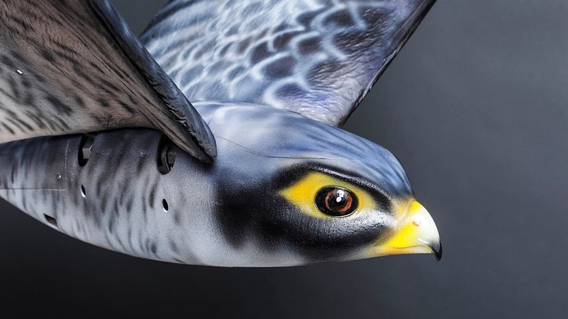 First-Ever Flapping-Wing Drone Designed to Repel Birds at Airports