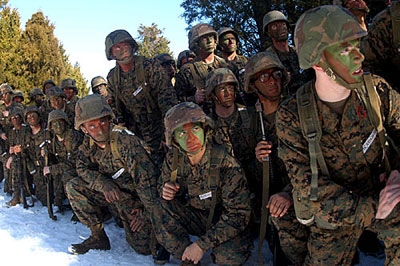 Inside the U.S. Marine Corps: Roles, Operations, and Excellence