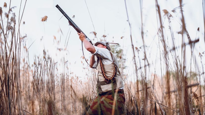 What Happens to a Bullet Fired Straight Up Into the Air?