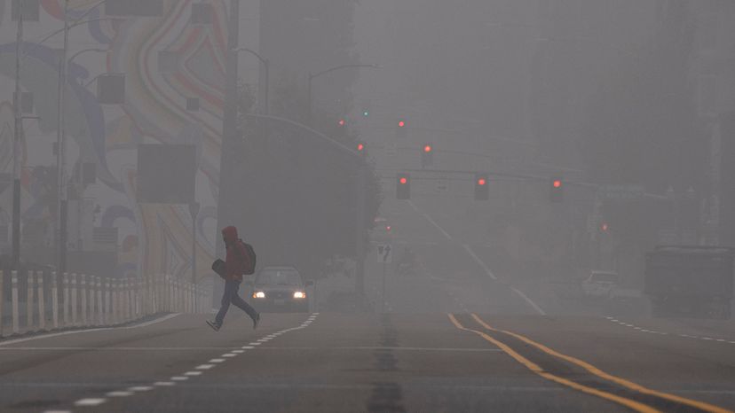 The 2020 Wildfire Season: Why It Became the Most Devastating Year Yet