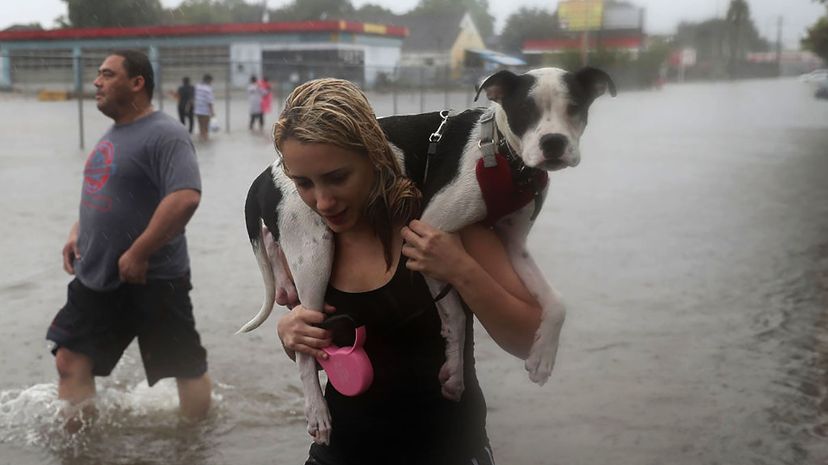 Evacuees vs. Refugees: How to Define People Displaced by Natural Disasters