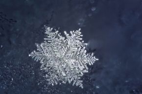 Are All Snowflakes Truly One-of-a-Kind?