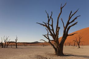 Understanding the Mechanisms of Drought: Causes, Impacts, and Solutions