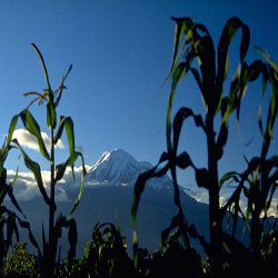 Discover 10 Countries Offering Ideal Year‑Round Climates