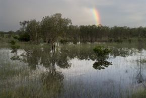 Exploring the Global Myth of the Great Flood: Evidence and Cultural Perspectives