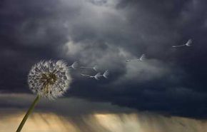 Is There Really a Calm Before the Storm? Uncovering the Truth