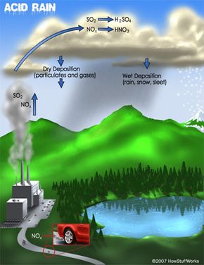 The Science Behind Acid Rain: Causes, Effects, and Prevention