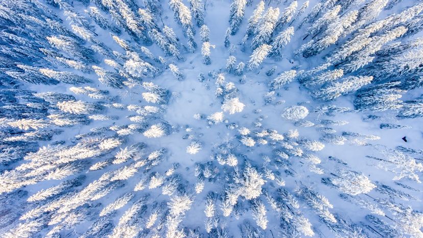Why Snow Appears White: The Science Behind Its Brightness