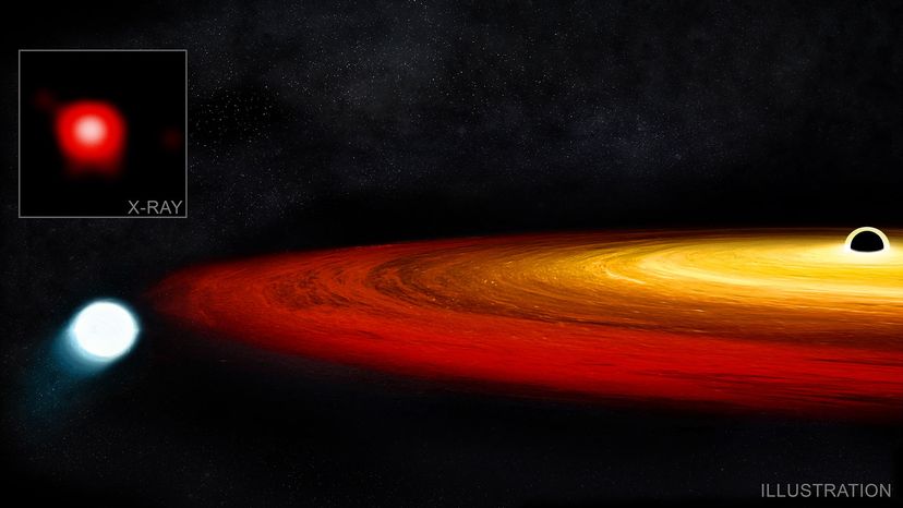A Star Defies a Black Hole: How It Survived the Gravitational Feast