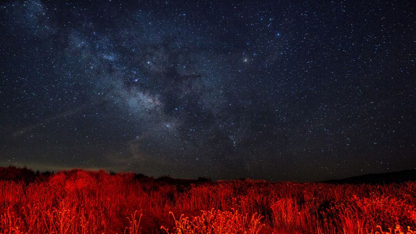 Total Starlight Emitted Since the Big Bang: An Astounding Estimate