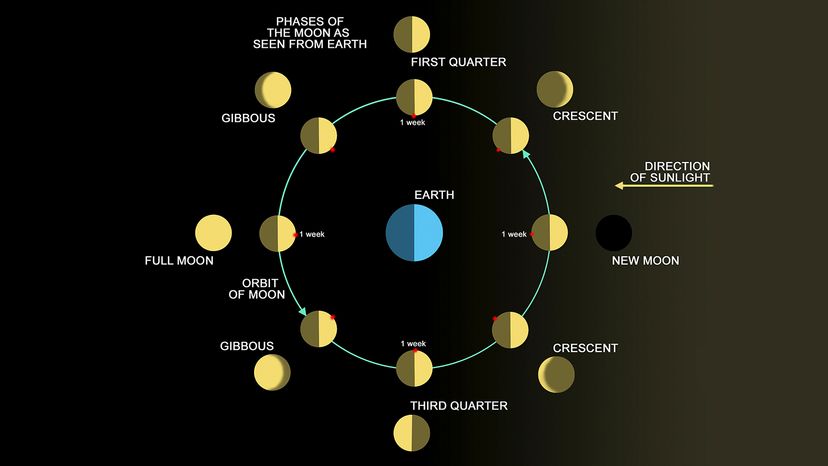 Understanding Day and Night on the Moon: How Solar Exposure Shapes Lunar Cycles