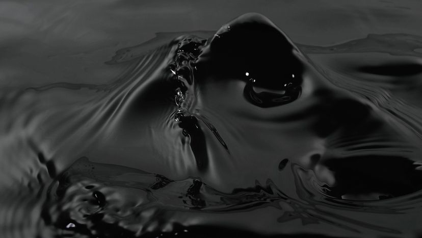 Can Dark Matter Give Rise to Shadow Life?