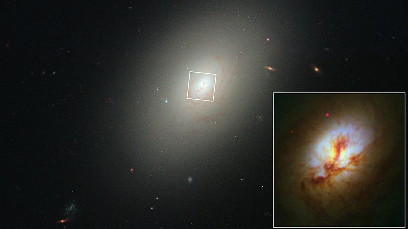 Understanding Why Galaxies Take on Diverse Shapes