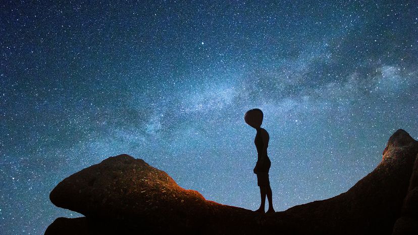 Do Aliens Look Like Us? Convergent Evolution May Hold the Answer