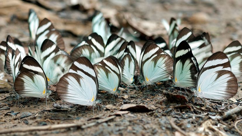 Understanding Chaos: Insights from a Complex Systems Scientist