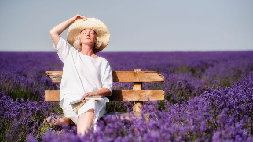 How Scents Calm Us: The Science Behind Relaxing Aromas